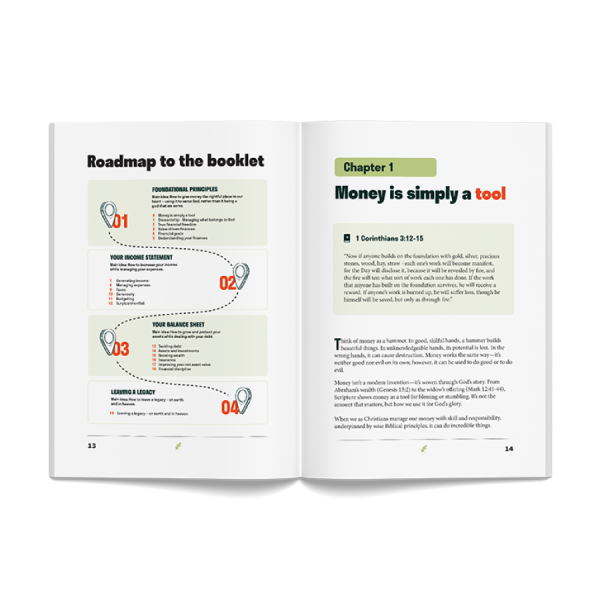 The Second Best Guide to Financial Stewardship